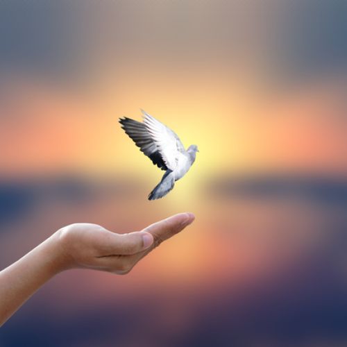 Dissolving Control Rebuilding Trust