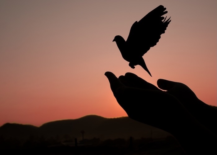 energy healing session for forgiveness and emotional release