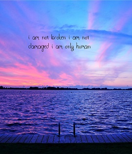 i am not broken i am not damaged i am only human.w