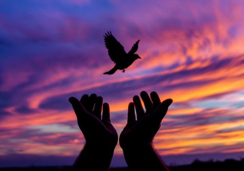 energy healing session for clearing resistance to healing